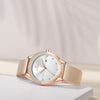 Iconic Rose White